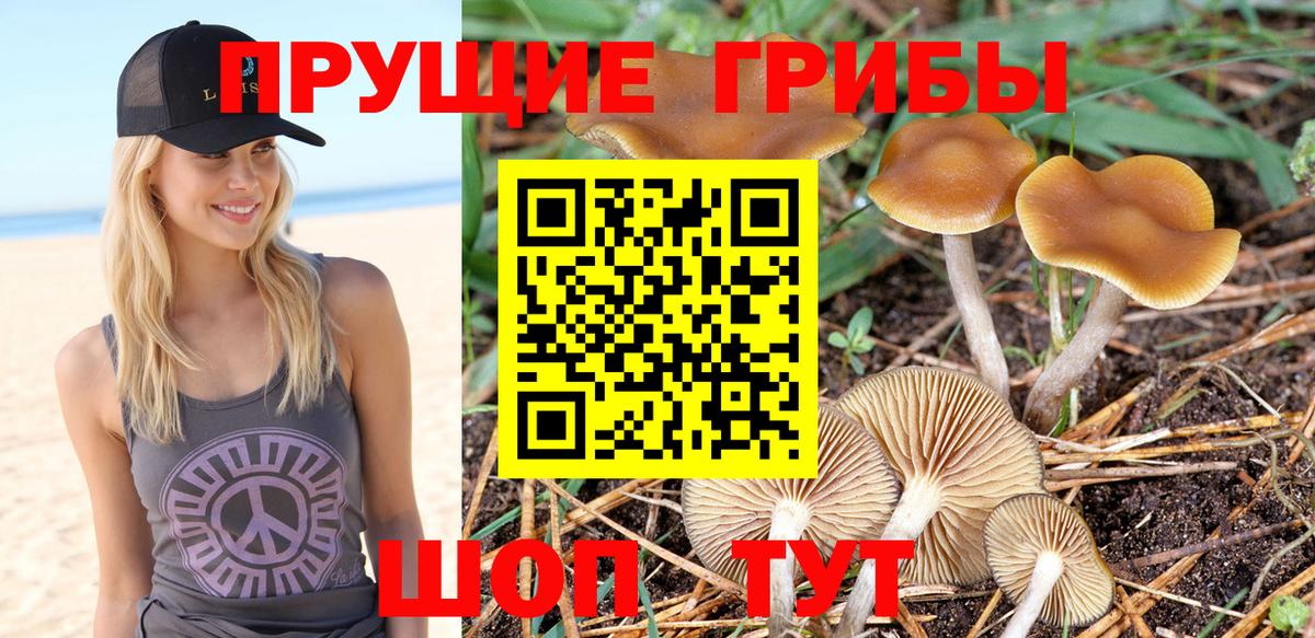 Псилоцибиновые грибы ЛСД  Вход с VPN  Новодвинск 