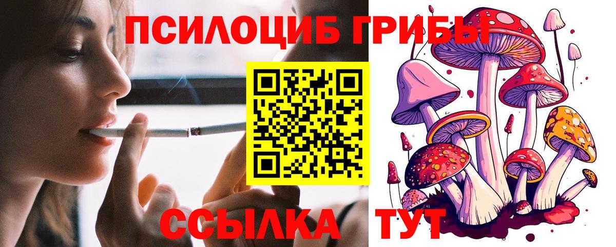 Псилоцибиновые грибы MAGIC MUSHROOMS Новодвинск