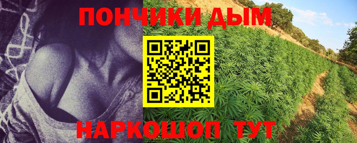 Конопля семена  Каннабис AK-47  Новодвинск  Конопля SATIVA & INDICA  Вход с VPN 